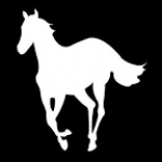 Avatar for Mart33N